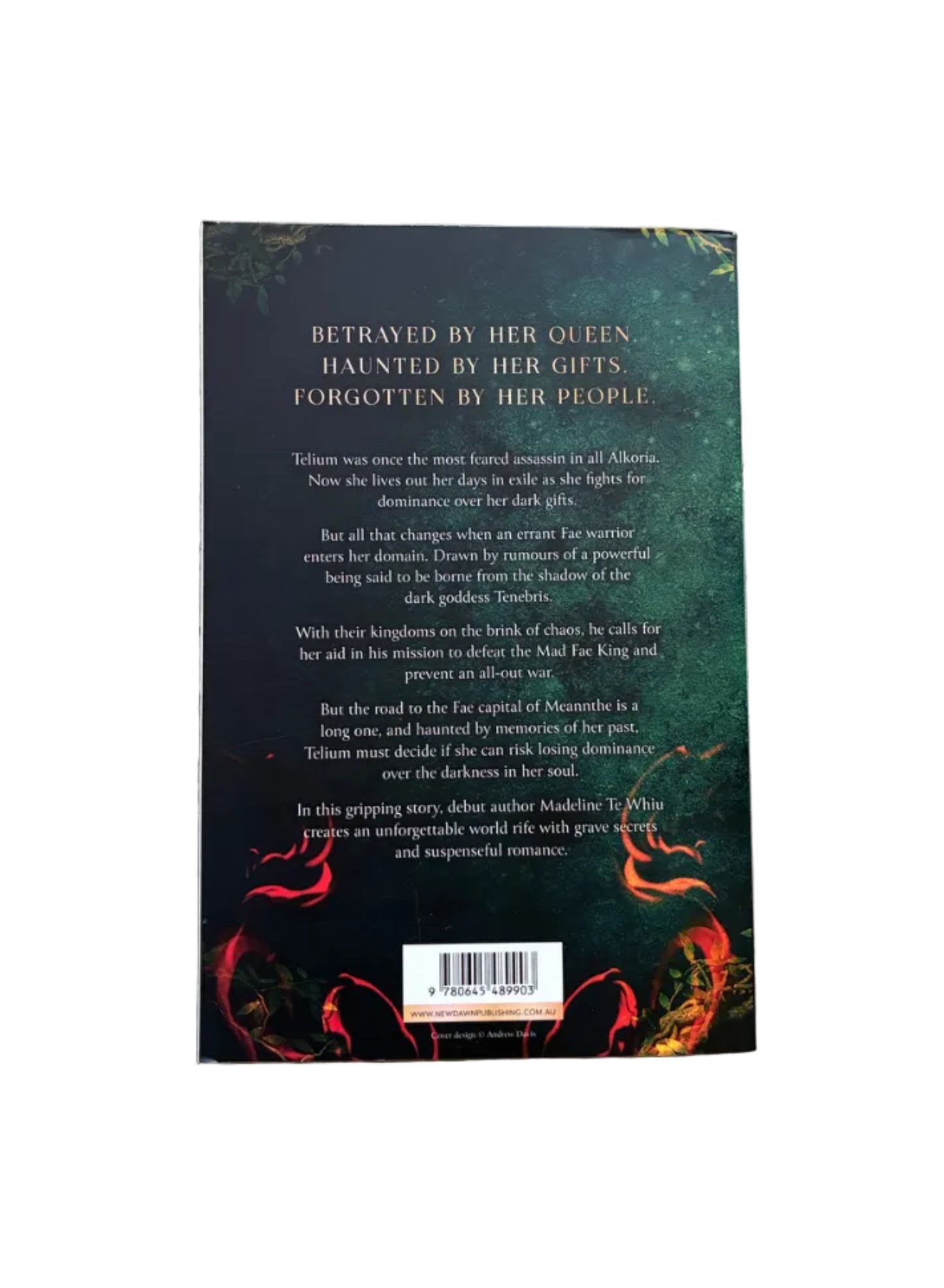 The Assassin Thief (#1 The Soul Thief Trilogy)