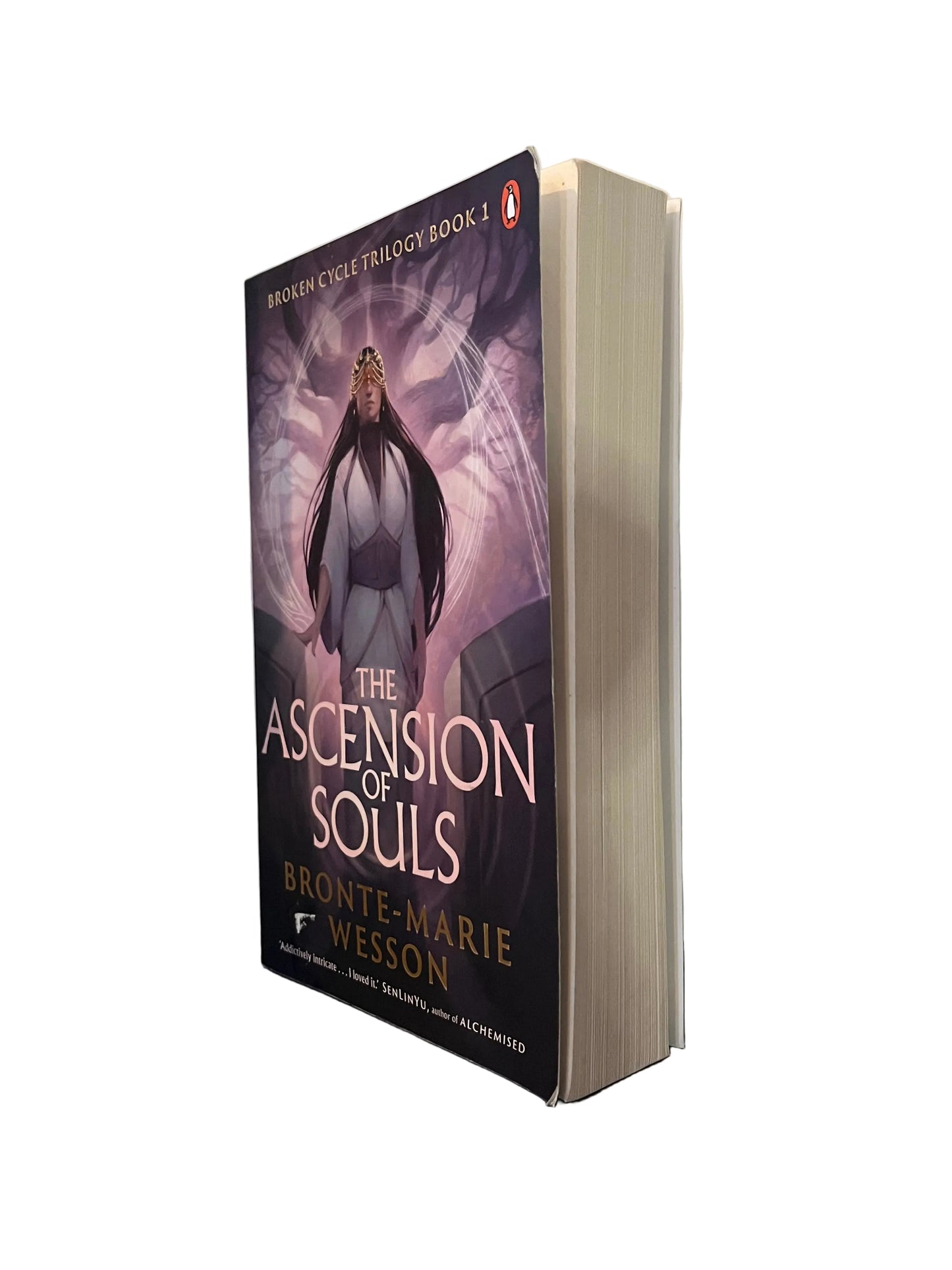 The Ascension of Souls (Broken Cycle #1)