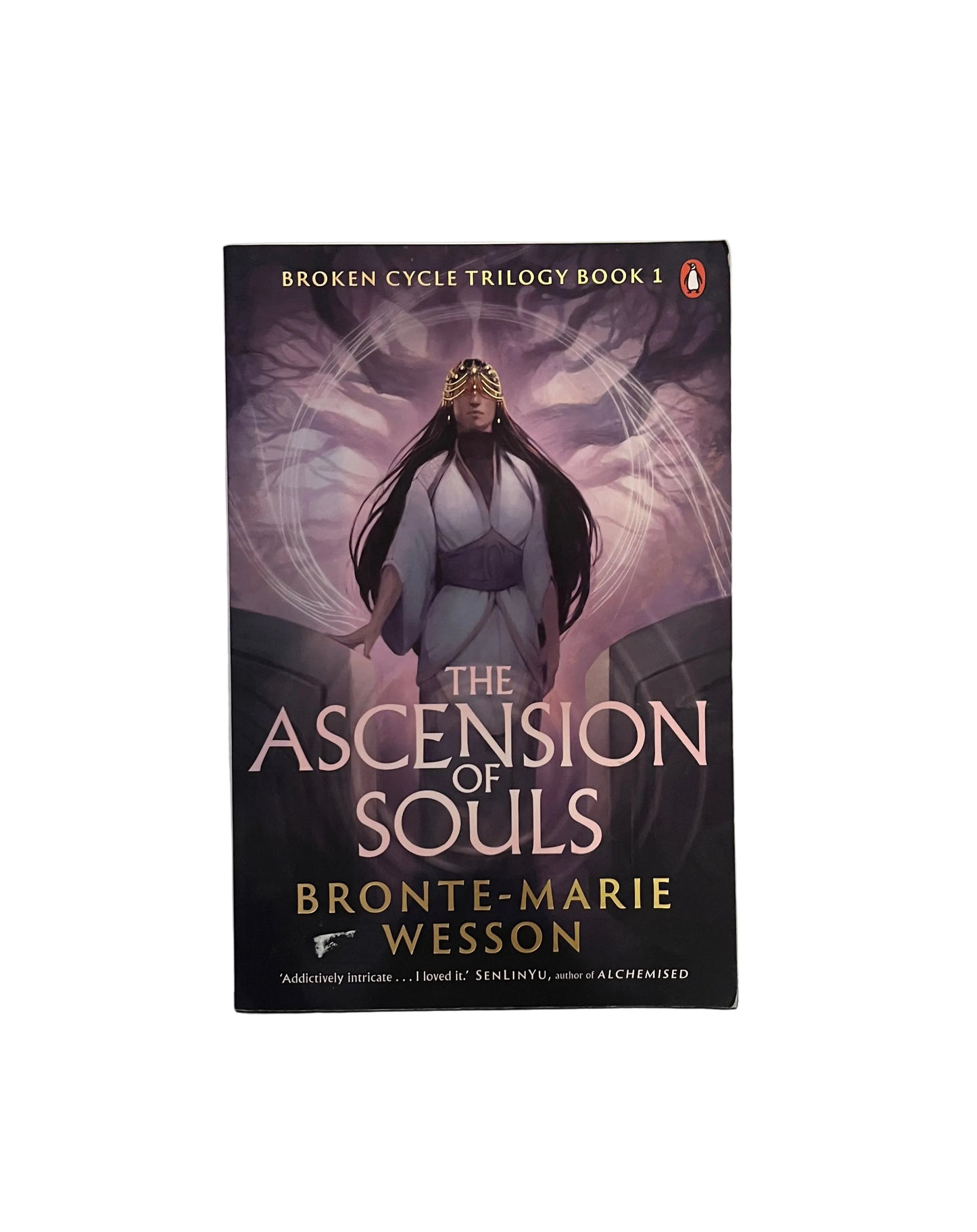 The Ascension of Souls (Broken Cycle #1)