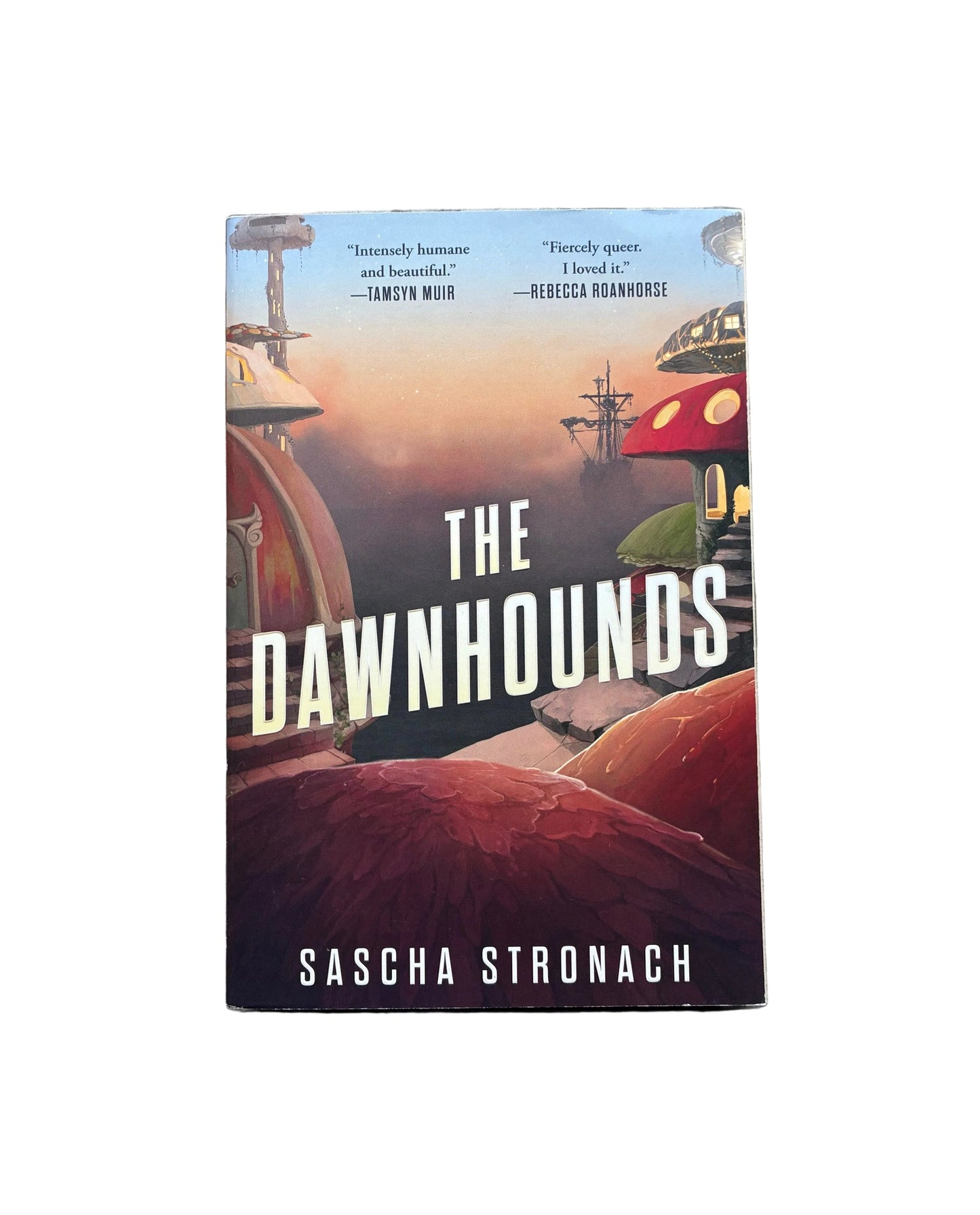 The Dawnhounds (#1 The Endsong Trilogy)