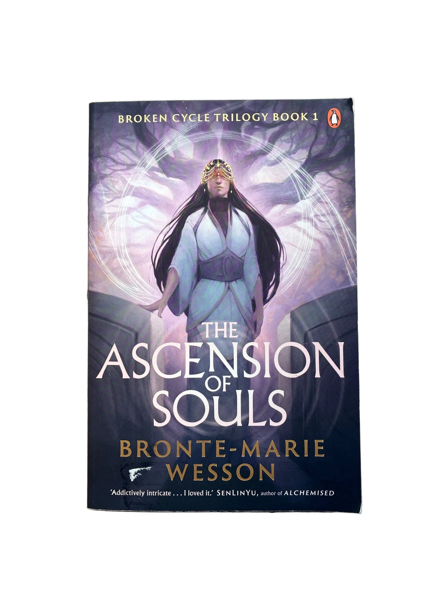 The Ascension of Souls (Broken Cycle #1)